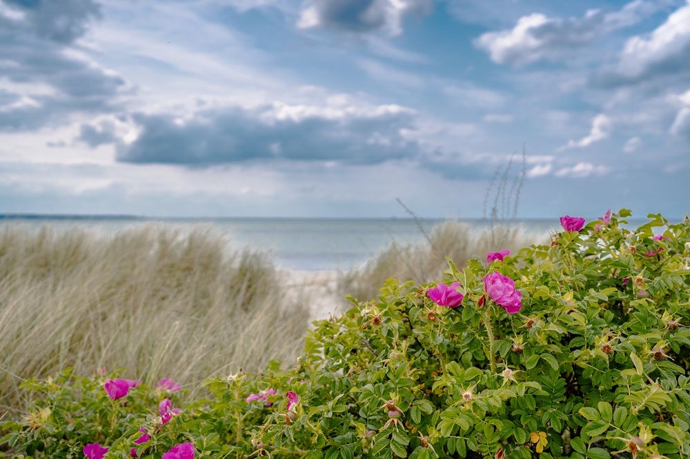 Naturschutzgebiet Bottsand